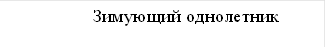 Зимующий однолетник
