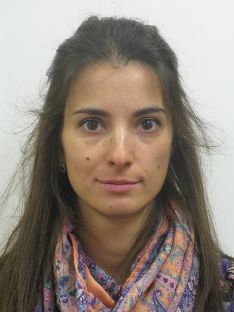 Ольга Александровна Свиридова (преподаватель ФУ) - СтудИзба