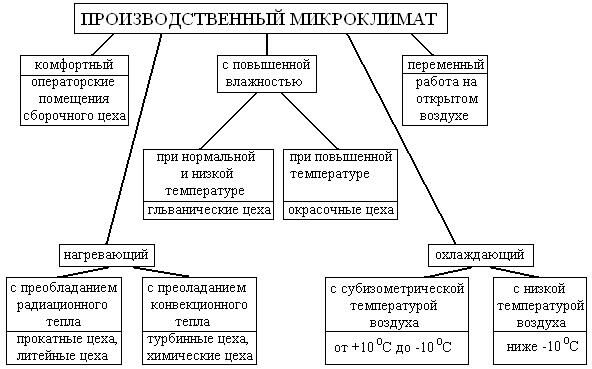 Микроклимат — Википедия